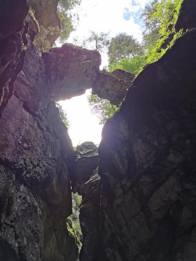 Ferienwohnung NEST Wangen im Allgäu Exterior foto